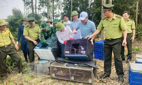 Hà Tĩnh: Lực lượng chức năng thả nhiều cá thể động vật hoang dã, quý hiếm về môi trường tự nhiên