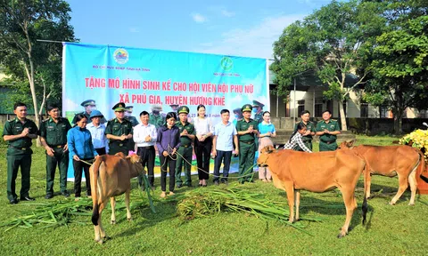 Hà Tĩnh: Tặng bò giống cho hội viên phụ nữ nghèo xã biên giới Phú Gia