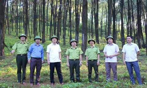 Hà Tĩnh tăng cường các biện pháp cấp bách phòng cháy, chữa cháy rừng