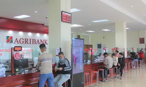 Hà Tĩnh triển khai gói tín dụng 15.000 tỷ đồng trong lĩnh vực lâm, thủy sản