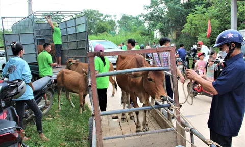 100 hộ nghèo, khó khăn ở Hà Tĩnh được hỗ trợ mô hình phát triển sản xuất