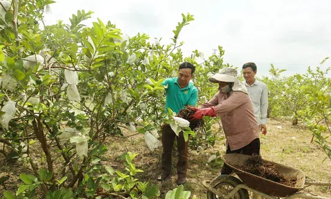 Nghệ An: Tự sản xuất phân bón mang lại hiệu quả cao