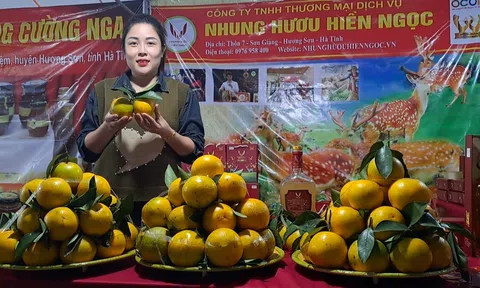 Hà Tĩnh: Tổ chức Lễ hội cam và các sản phẩm nông nghiệp lần thứ 6
