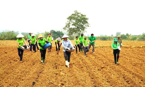 Cán bộ, hội viên nông dân Hương Khê ra đồng giúp hội viên khó khăn sản xuất