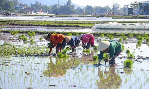 Hà Tĩnh: Chủ tịch UBND tỉnh ra công điện về phòng chống rét đậm, rét hại