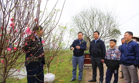 Hà Tĩnh: Tổ chức hội chợ hoa, cây cảnh trước thềm xuân Giáp Thìn 2024