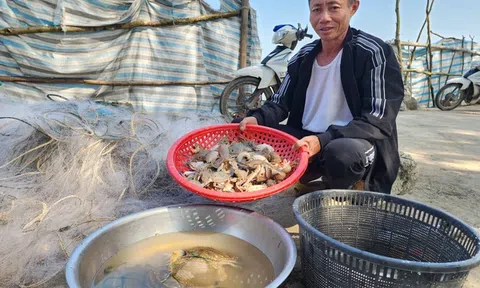 Ngư dân Hà Tĩnh “thu lộc” trong chuyến biển đầu năm