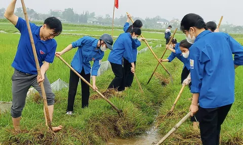 Hơn 10 nghìn hoạt động thanh niên tình nguyện góp phần xây dựng Hà Tĩnh ngày càng phát triển