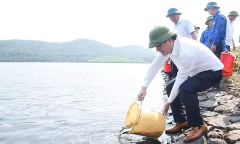 Hà Tĩnh: Hàng tấn cá giống được thả để tái tạo nguồn lợi thủy sản