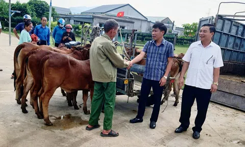 Hà Tĩnh phân bổ hơn 92 tỷ đồng cho chương trình giảm nghèo