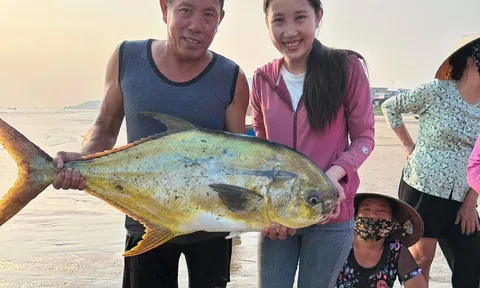 Hà Tĩnh: Ngư dân trúng mẻ cá đặc sản, thu hơn 300 triệu đồng
