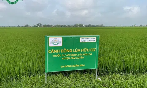 Hà Tĩnh phấn đấu đến năm 2030 có trên 2.500 ha đất trồng trọt hữu cơ