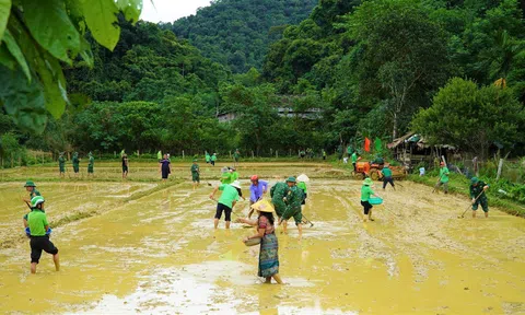Hội Nông dân và Đồn Biên phòng giúp đồng bào dân tộc Chứt phát triển sản xuất
