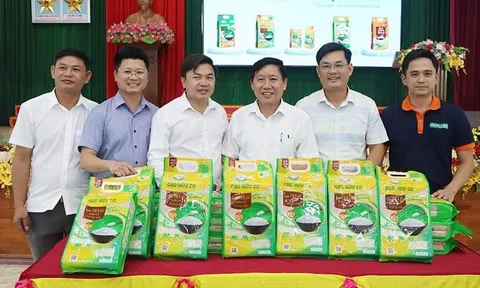 Hà Tĩnh có 73 mã số vùng trồng cho nông sản trên diện tích hơn 1.000 ha