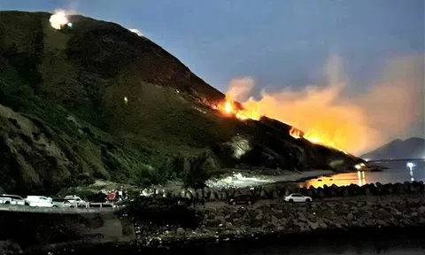 Hà Tĩnh: Hơn 300 người xuyên đêm dập đám cháy rừng