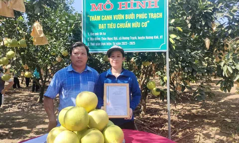 Trao chứng nhận mô hình thâm canh bưởi Phúc Trạch đạt tiêu chuẩn hữu cơ