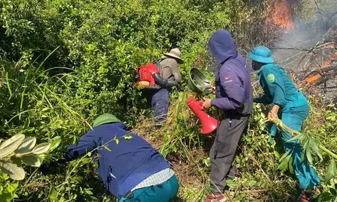 Hà Tĩnh: Hàng trăm người kịp thời tham gia dập tắt đám cháy rừng
