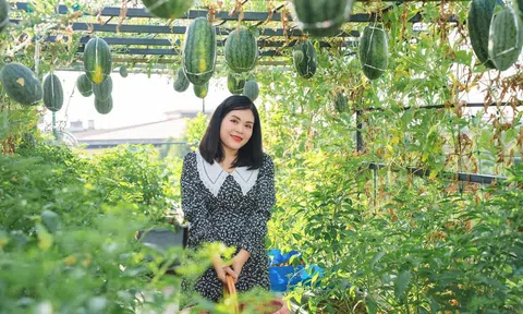 Khu vườn lúc lỉu quả trên sân thượng của nữ nông dân phố Hà Tĩnh