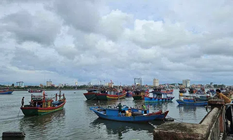 Quảng Bình: Cấm biển do áp thấp nhiệt đới có khả năng mạnh lên thành bão trên biển Đông