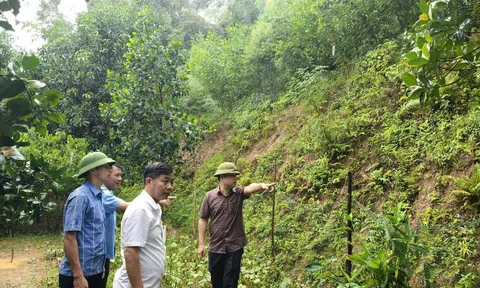 Hà Tĩnh: Rà soát các vị trí có nguy cơ sạt lở, chủ động di dời dân