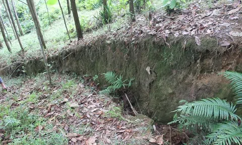 Quảng Bình: Công bố khẩn cấp tình trạng sạt lở đất tại huyện Minh Hóa