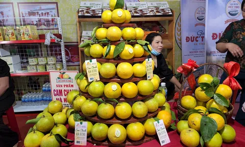 Lễ hội cam và các sản phẩm Hà Tĩnh năm 2024 sẽ có quy mô 100 gian hàng cùng các hoạt động văn hóa đặc sắc