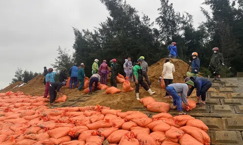 Hà Tĩnh: Huy động hàng trăm người khẩn cấp gia cố xói lở kè biển