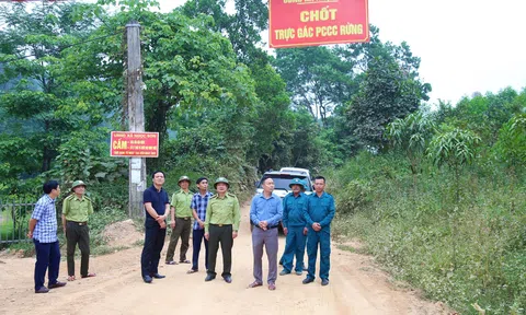 Hà Tĩnh: Tăng cường công tác quản lý, bảo vệ rừng dịp Tết Nguyên đán Ất Tỵ năm 2025