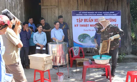 Khuyến nông Quảng Bình hỗ trợ sinh kế cho người dân vùng khó