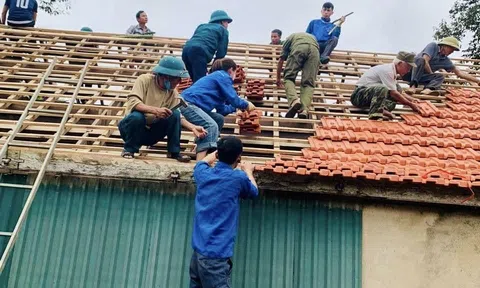 Đoàn viên thanh niên Hà Tĩnh hưởng ứng phong trào xóa nhà tạm, nhà dột nát