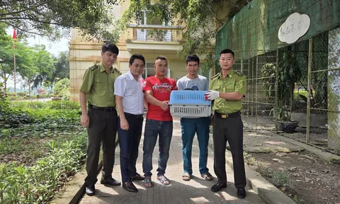 Người dân tự nguyện giao nộp động vật quý hiếm cho cơ quan chức năng