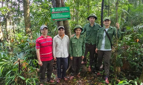 Sẵn sàng các phương án phòng cháy, chữa cháy rừng trong mùa nắng nóng ở Quảng Bình