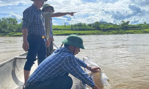 Quảng Bình bảo vệ, phát triển nguồn lợi thủy sản theo hướng bền vững