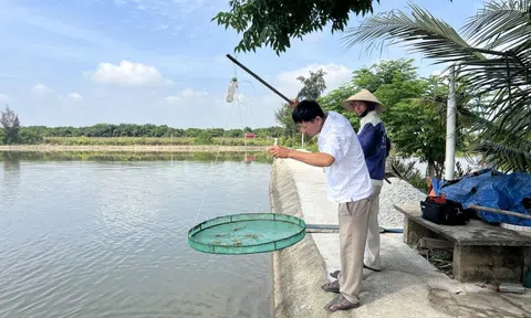 Người nuôi tôm Hà Tĩnh chủ động ứng phó khi thời tiết bất lợi