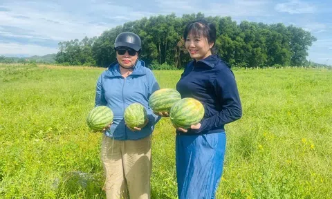 Hà Tĩnh: Nâng cao nhận thức an toàn thực phẩm trong sản xuất nông nghiệp