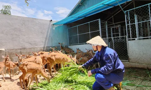 Hà Tĩnh: Chuyển đổi cây trồng thích ứng biến đổi khí hậu bảo vệ môi trường