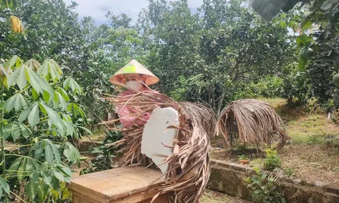 Nắng nóng kéo dài, người nuôi ong cần lưu ý?