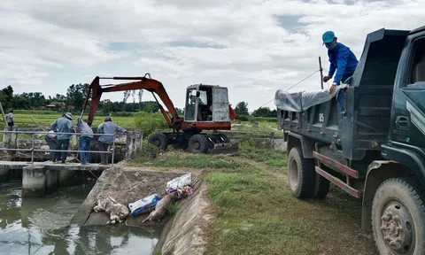 Gia Lai: Thu gom, xử lý gần 500 xác lợn chết vứt dưới kênh mương