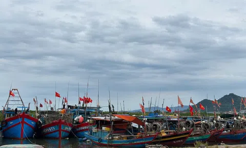 Hà Tĩnh: Gần 4.000 tàu thuyền đã vào các khu neo đậu tránh trú bão số 3