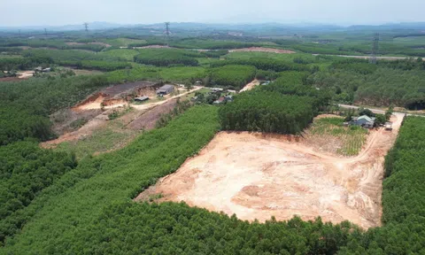 Quảng Trị: Xử phạt hơn 194 triệu đồng đối tượng khai thác đất trái phép trong khu dân cư