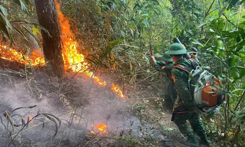 Quảng Trị: Kịp thời khống chế đám cháy tại khu vực rừng phòng hộ Đèo Ngang