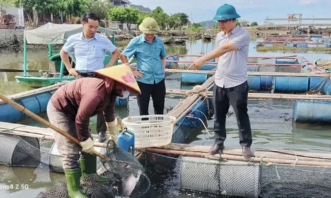 Chủ động bảo vệ thủy sản trong lồng bè mùa mưa bão