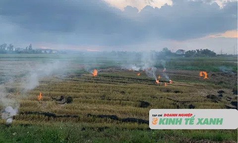 Xã Cẩm Bình (Hà Tĩnh) ra văn bản nghiêm cấm đốt rơm rạ