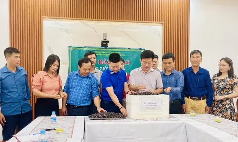 Hà Tĩnh: Thực hiện Đề án “Phát triển giá trị đa dụng của hệ sinh thái rừng” và giải pháp “Bom hạt giống”