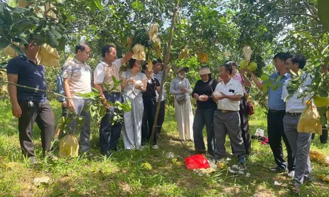 Hà Tĩnh: Ứng dụng công nghệ AI trong hoạt động sản xuất nông nghiệp