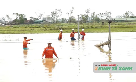 Điện lực Hà Tĩnh chạy đua khắc phục hậu quả bão số 10