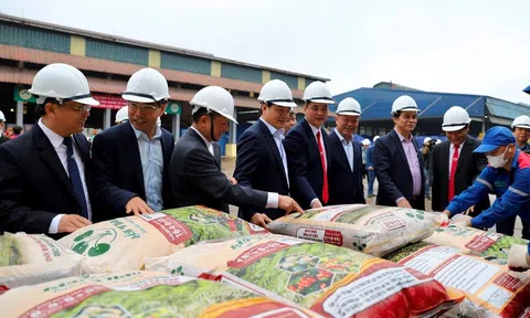 Công ty Supe Lâm Thao: Xanh hóa sản phẩm tăng năng suất cây trồng và giữ cho ruộng vườn phì nhiêu