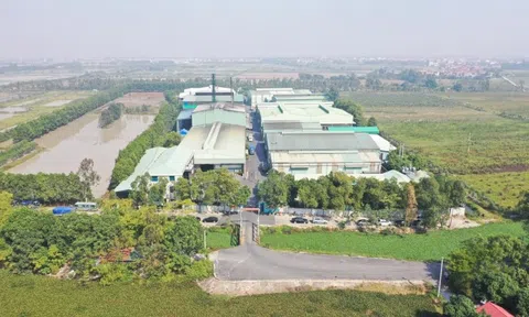 Thuận Thành EJS khẳng định tên tuổi từ việc hợp tác, xử lý rác thải cho nhiều “ông lớn”