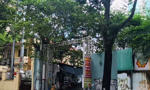 TP. HCM: thu hồi khu “đất vàng” bị Vinafood 2 thâu tóm tại quận 1