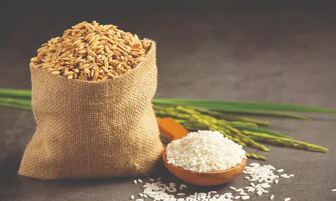 Giá gạo Việt Nam có xu hướng tăng